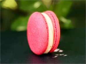 {{photo.Alt || photo.Description || 'Макарон лайм- малина'}}