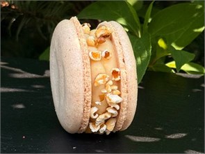 {{photo.Alt || photo.Description || 'Макарон попкорн'}}