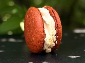 {{photo.Alt || photo.Description || 'Макарон соленый крекер'}}