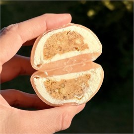 {{photo.Alt || photo.Description || 'Моти муравейник'}}