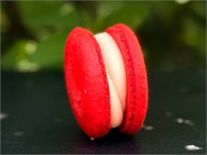 {{photo.Alt || photo.Description || 'Макарон апероль'}}